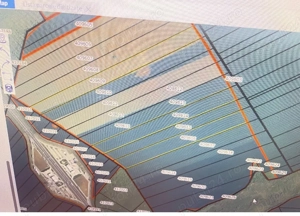 Teren 50000mp Aprope Autostrada A1,  - imagine 4