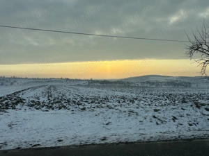 Cauti un prieten potent, un amant care iti ofera o siguranta? 