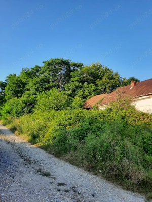 Vand Casă -Conac in Zgribesti -Timiș - imagine 3