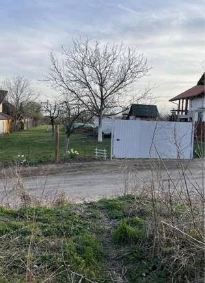 Teren în Carei jud.Satu-Mare - imagine 2