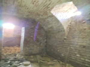 Vand Casă -Conac in Zgribesti -Timiș - imagine 4