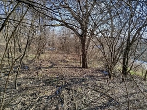 Vand Casă -Conac in Zgribesti -Timiș - imagine 6