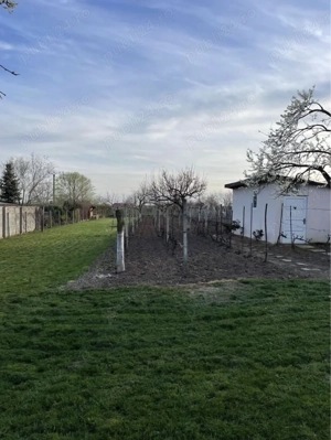 Teren în Carei jud.Satu-Mare - imagine 4