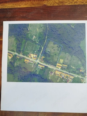 Vand Casă -Conac in Zgribesti -Timiș - imagine 9