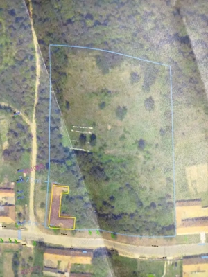 Vand Casă -Conac in Zgribesti -Timiș - imagine 10