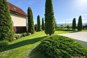FILM Tur3D! Casa premiata Romania, 1.600mp teren, gradina asezonata, Miercurea- Ciuc, Harghita - imagine 13