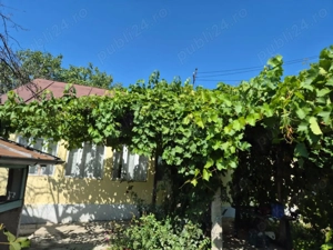 Vand casa cu teren 1000 mp sat Valea Cotesti, com Cotesti, jud. Vrancea - imagine 4
