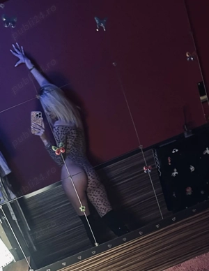 STOP! Ai gasit ce cautai!!!