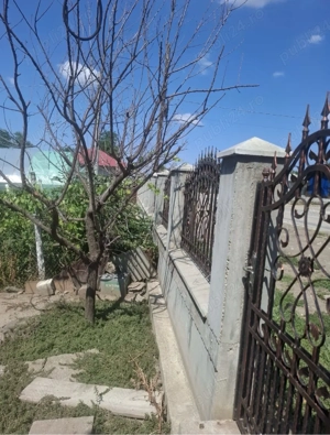 Vand casa comuna Ciocanesti , Judetul Calarasi ,Pret Negociabil 1200mp - imagine 4