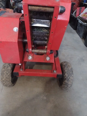 Toc crengi - imagine 2