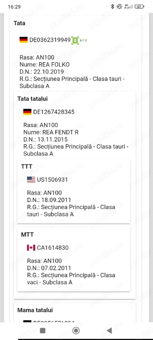 Tauri 11 12.2023 monta Aberdeen Angus rosu - imagine 4
