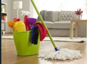 Firma de curățenie 