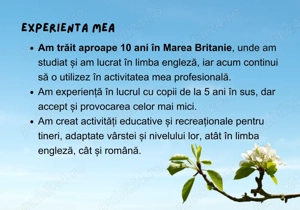 Engleză pe înțelesul tău   cursuri personalizate, online sau în persoană - imagine 4