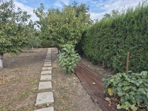 VAND teren intravilan in sat Cetatea(Balanoaia), com.Fratesti, jud. Giurgiu - imagine 7