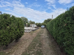 VAND teren intravilan in sat Cetatea(Balanoaia), com.Fratesti, jud. Giurgiu - imagine 5