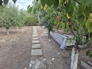 VAND teren intravilan in sat Cetatea(Balanoaia), com.Fratesti, jud. Giurgiu - imagine 2