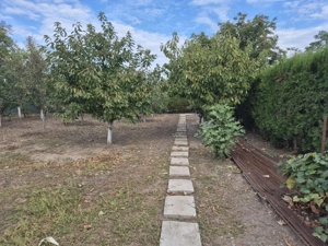 VAND teren intravilan in sat Cetatea(Balanoaia), com.Fratesti, jud. Giurgiu - imagine 3