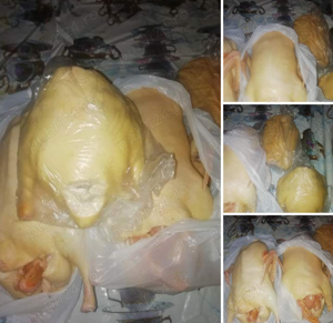 Rațe leșesti de vânzare,120 tăiate sau 80 de lei întregi 