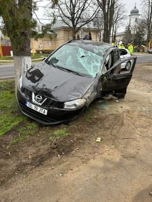 Dezmembrari - imagine 2