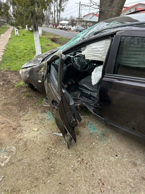 Dezmembrari - imagine 5