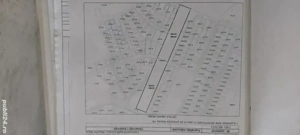 Pământ extravilan  - imagine 2