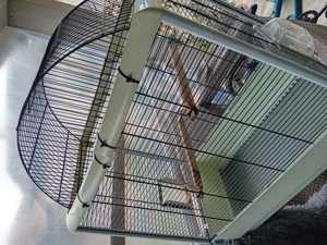 Cintatori ,pereche frumoasa - imagine 2