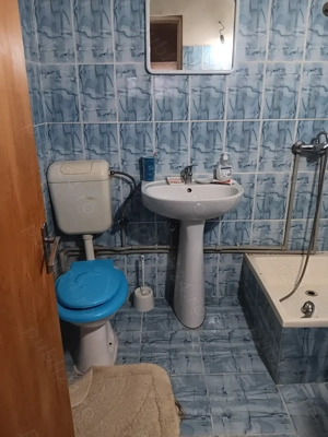 Vand casa in jud Valcea, comuna Vladesti, sat Priporu - imagine 9