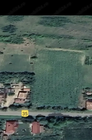 Vind teren en Sintioana