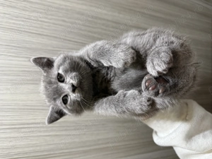 Pui scottish   scottish strike - imagine 2