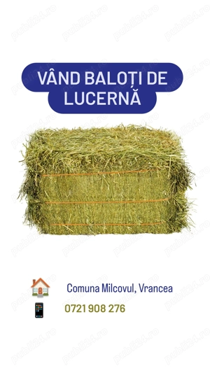 Vand baloti Comuna Milcovul