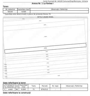 Vand teren extravilan comuna victoria judetul iasi - imagine 2