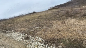 Vând teren extravilan (2026 intravilan)  2500 mp parcelabil zona hlincea lunca cetatuii - imagine 8