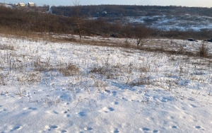 Vând teren extravilan (2026 intravilan)  2500 mp parcelabil zona hlincea lunca cetatuii - imagine 3