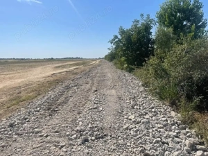 Vând 1150  teren  industrial Giroc   - imagine 3