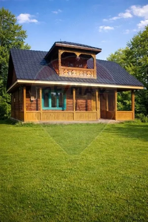 Casa traditionala+teren 9.035mp in Breb,Maramures