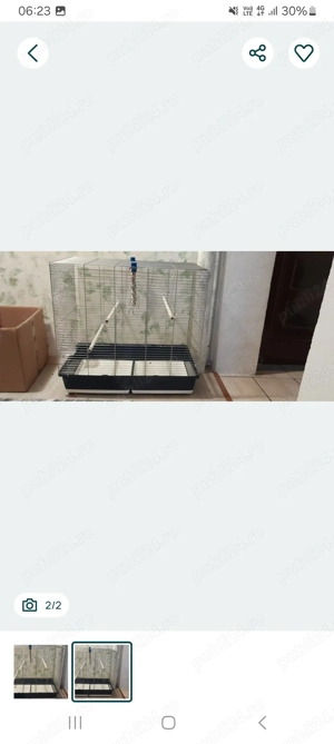 Cusca mare papagali - imagine 2