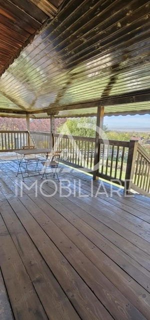 Casa de inchiriat - Curtisoara - imagine 9