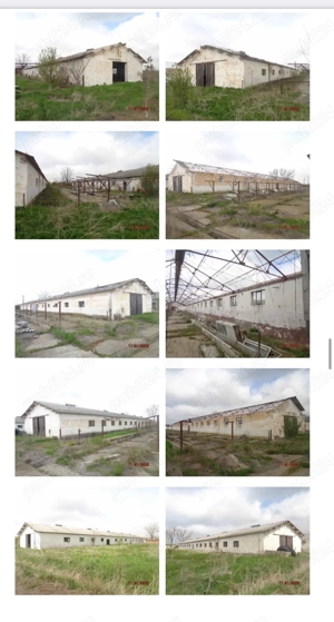 Inchiriez hale 7000 mp si teren intravilan 70000 mp - imagine 4