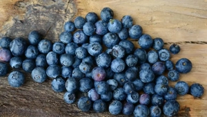 Fuctteria - Fructe de padure din Romania