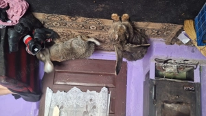 Vand pereche uriaș gri fier  - imagine 2