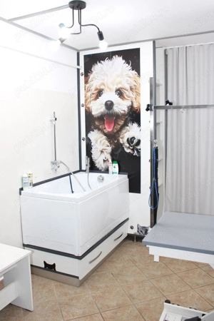 Afacere la cheie salon frizerie canina-felina - imagine 3