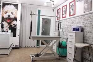 Afacere la cheie salon frizerie canina-felina - imagine 4