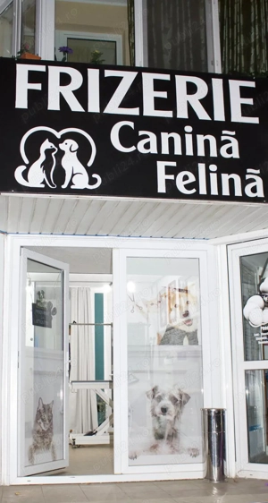 Afacere la cheie salon frizerie canina-felina