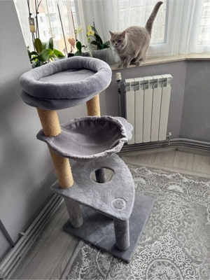 stativ pisici - imagine 2