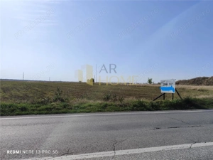 2500 mp Dn1 A Cocorastii Colt