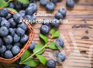 Angajăm personal serios fara masina personala 