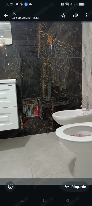 instalații sanitare profesionale 