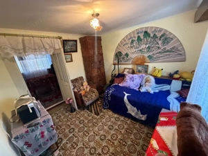 Somova, casa 2 corpuri, teren 4382 mp, garaj - imagine 12