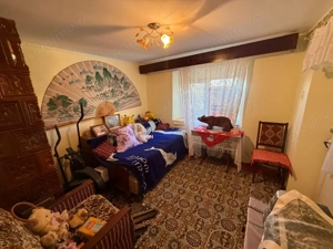 Somova, casa 2 corpuri, teren 4382 mp, garaj - imagine 10