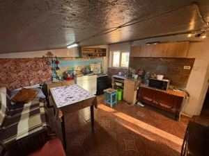 Somova, casa 2 corpuri, teren 4382 mp, garaj - imagine 9